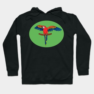 Abstract Scarlet Macaw Parrot Design Hoodie